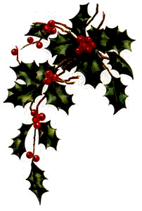 holly.jpg (12413 bytes)